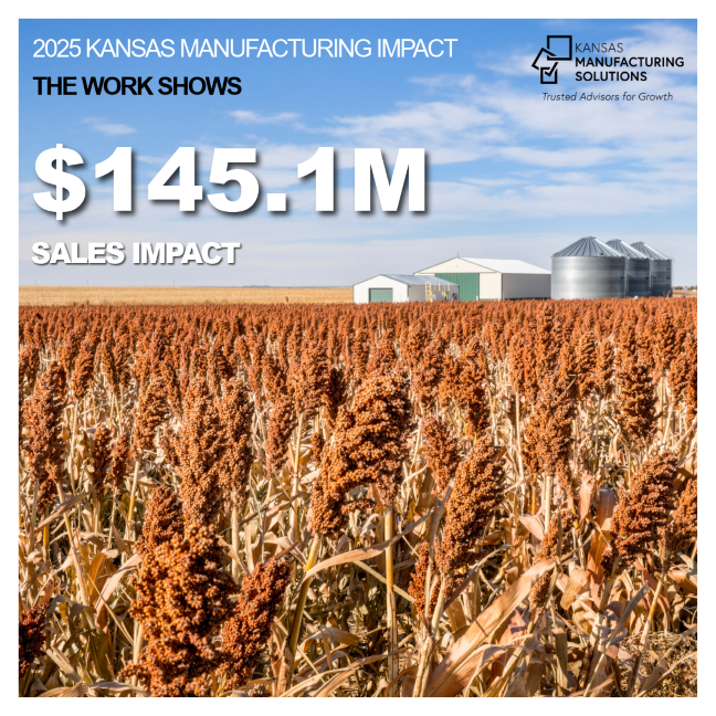 2025 sales impact number